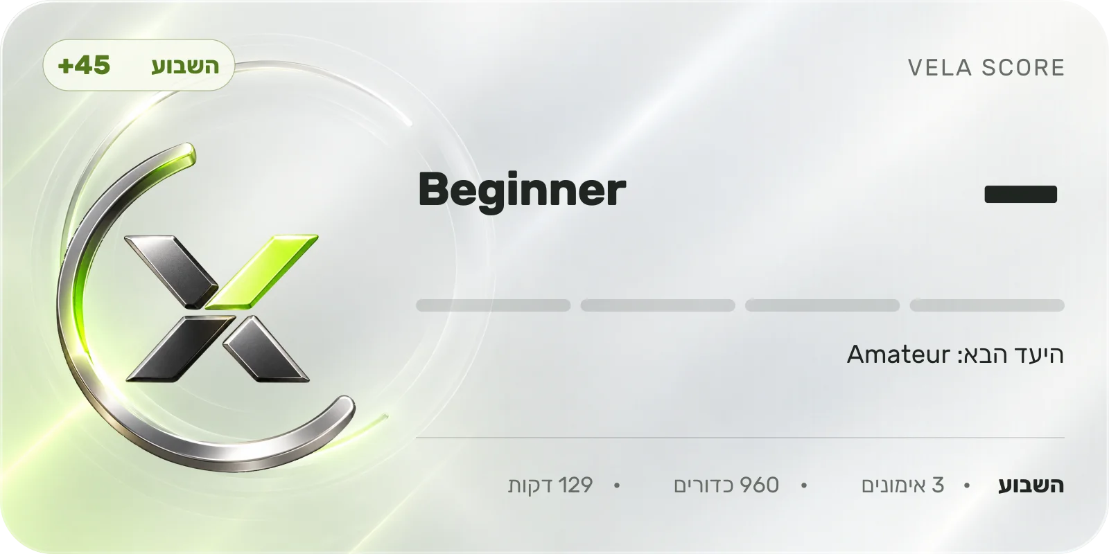 כרטיס הדרגה Beginner